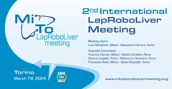 1st International Meeting on Laparoscopic Liver Surgery